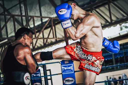Muay Thai vs. Tae Kwon Do