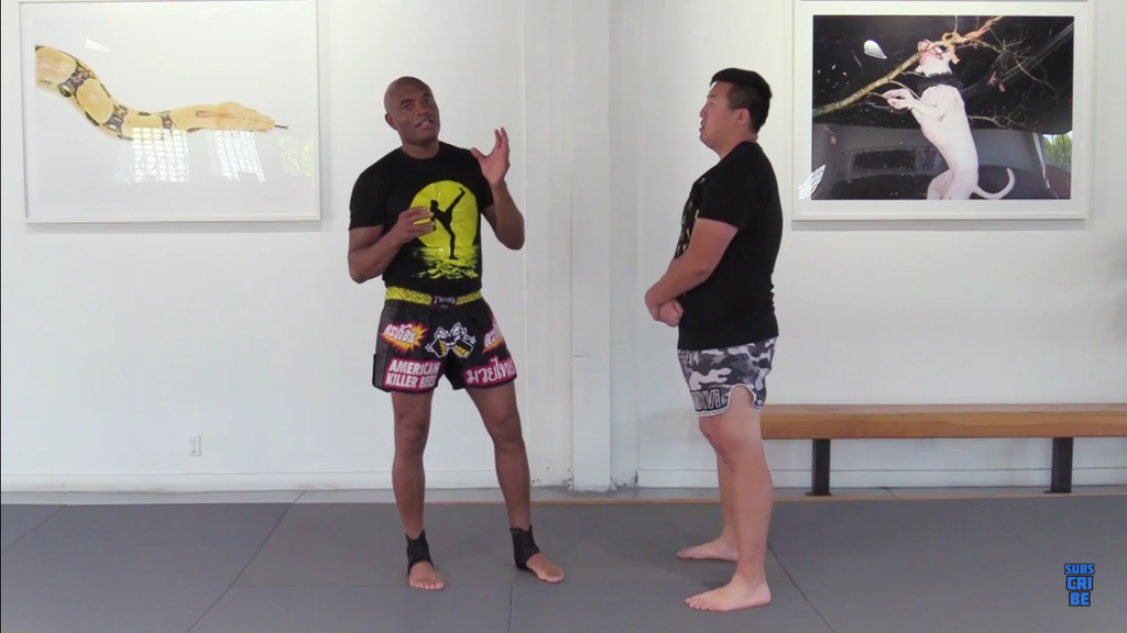 Dominating Clinch Details With Anderson Silva
