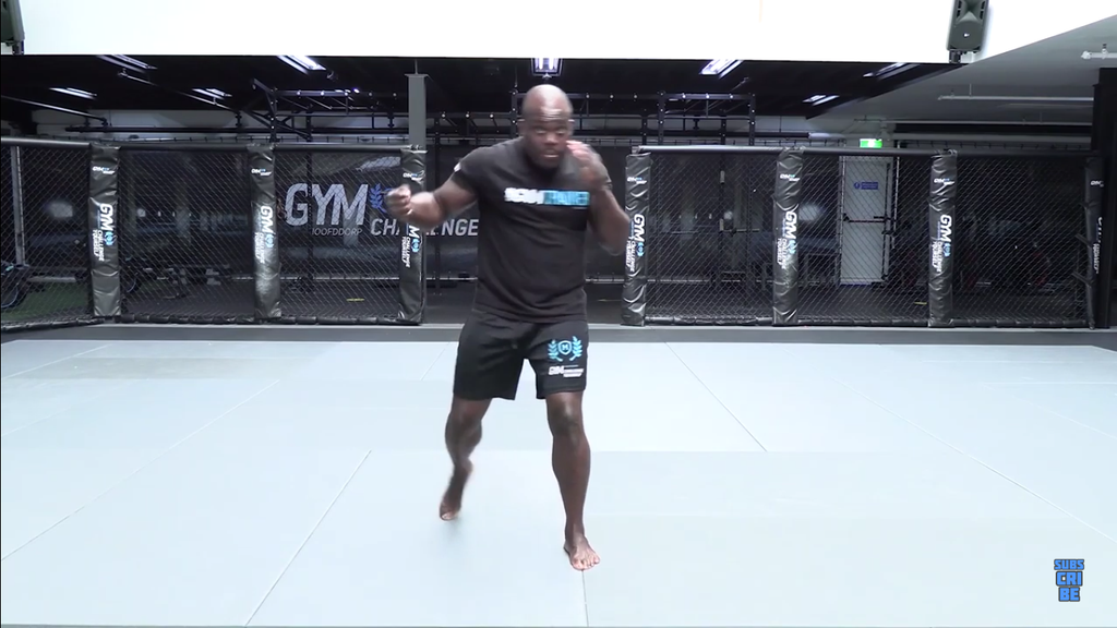 The Most Underrated Punch With Melvin Manhoef