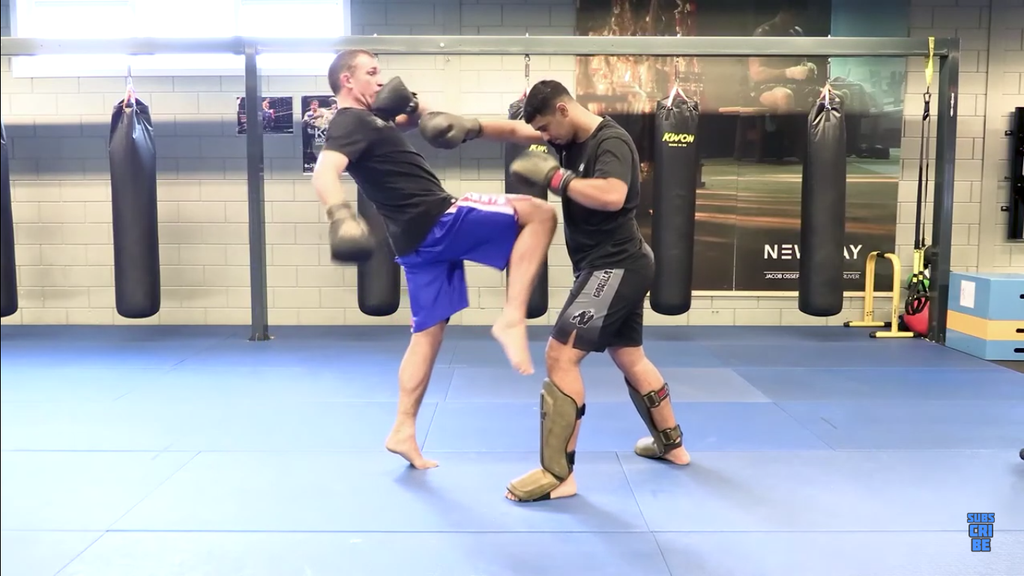 Counter With The Knee With Peter Aerts