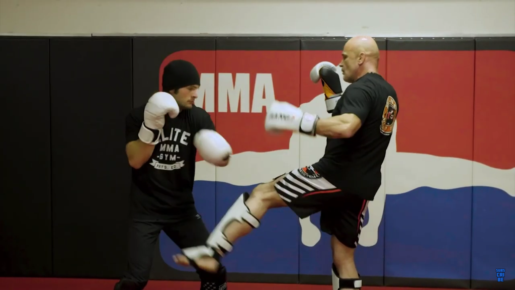 How To Counter Kicks With Punches With Bas Rutten