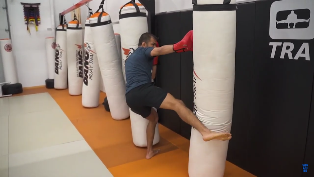 The Classic Hook To Low Kick With Duane Ludwig