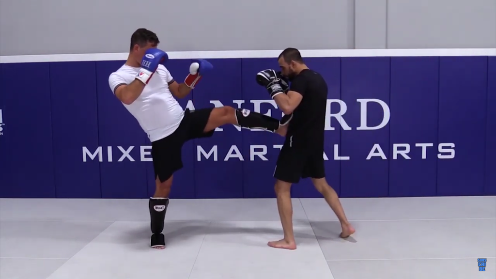 How To Throw A Front Kick With Henri Hooft