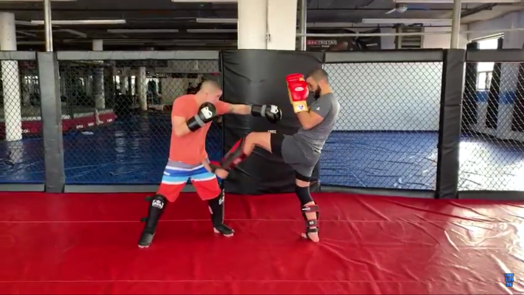 Attacking Strategies To Counter The Jab By Firas Zahabi