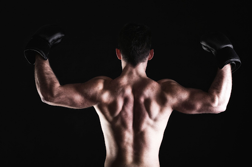 Boxer Back Unveiling the Power Behind Boxer's Back Muscles: Strengthening for Ring ...