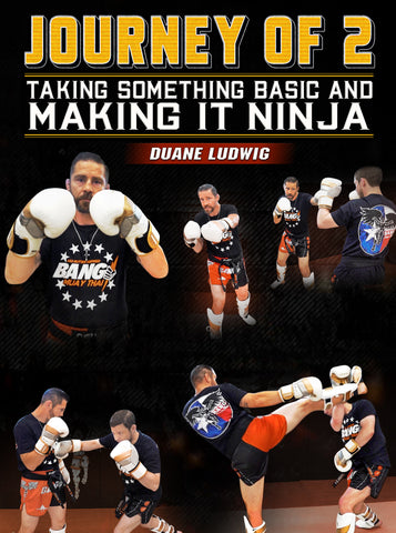 Journey Of 2: Taking Something Basic and Making ninja by Duane Ludwig - Dynamic Striking