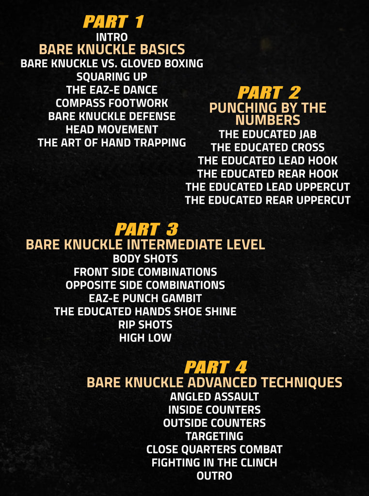 Boxing System.pdf The Educated Hands Bare Knuckle Boxing System by Reggie Barnett Jr ...