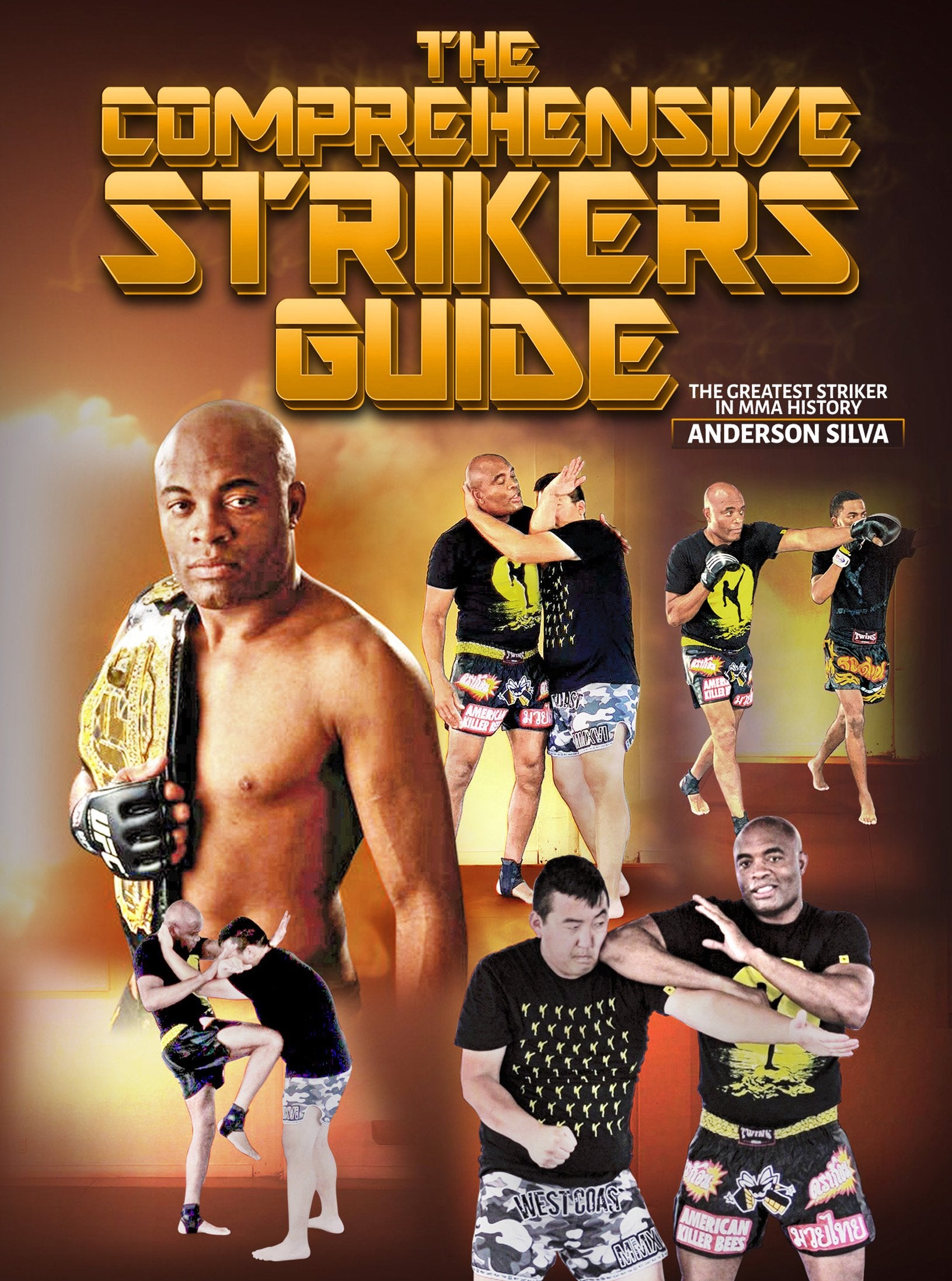 The Comprehensive Strikers Guide by Anderson Silva – Dynamic Striking