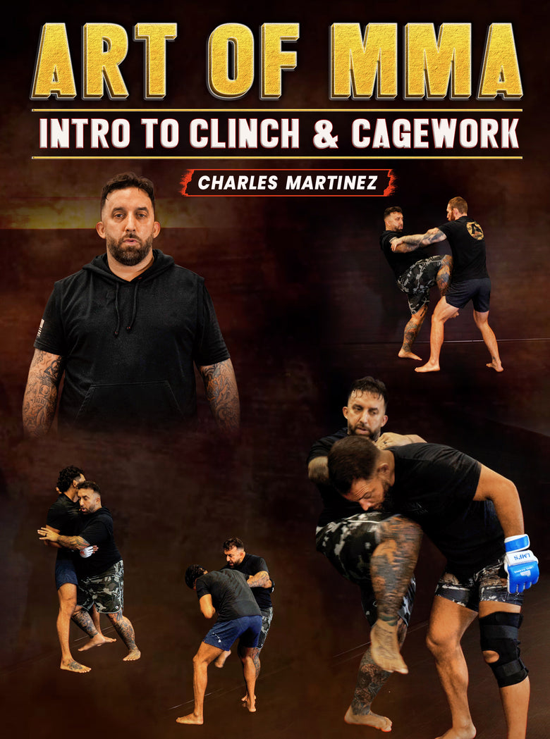 Art of MMA Intro to Clinch & Cagework by Charles Martinez - Dynamic Striking