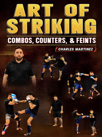 Art of Striking Combos, Counters, & Feints by Charles Martinez - Dynamic Striking