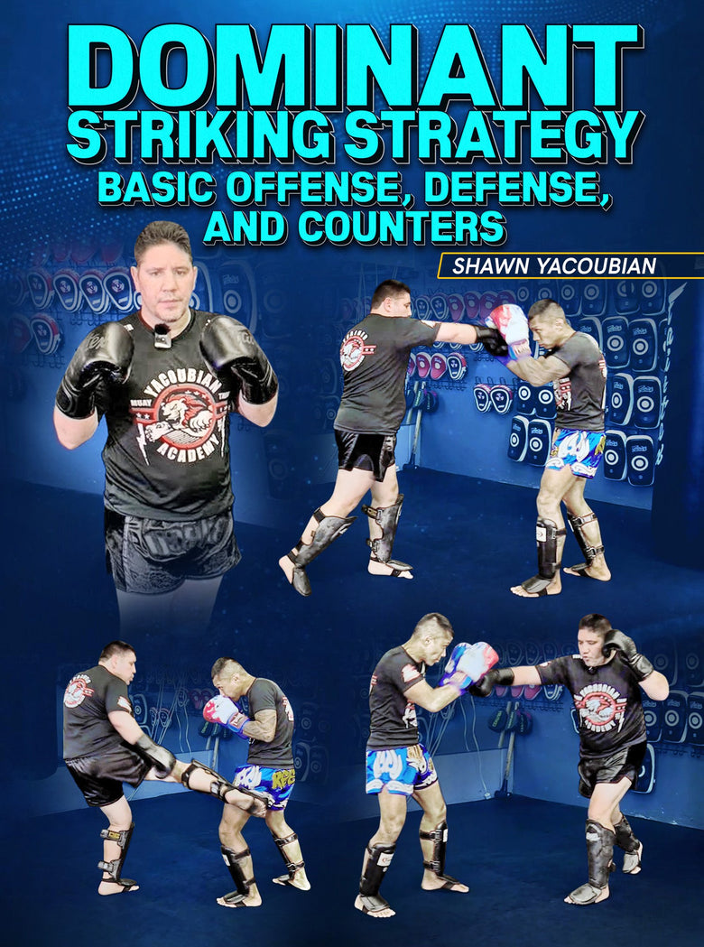 Dominant Striking Strategy by Shawn Yacoubian - Dynamic Striking