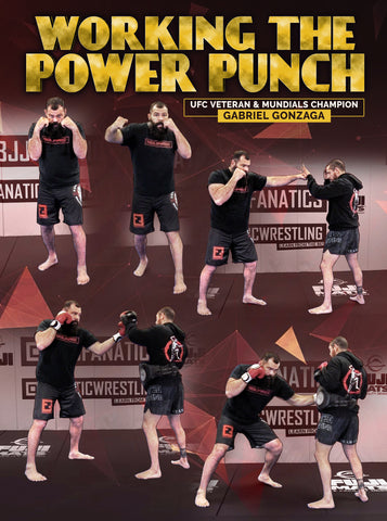 Working The Power Punch by Gabriel Gonzaga - Dynamic Striking