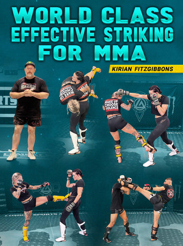World Class Effective Striking For MMA by Kirian Fitzgibbons - Dynamic Striking
