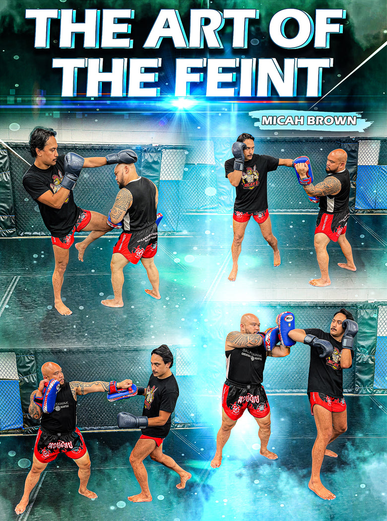 The Art Of The Feint by Micah Brown - Dynamic Striking